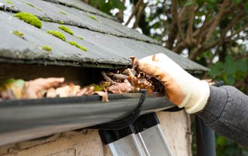 gutter cleaning Spital Tongues, Tyne And Wear