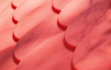 Spital Tongues plastic roof costs