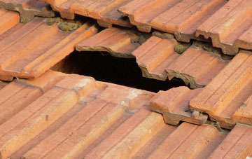 roof repair Spital Tongues, Tyne And Wear
